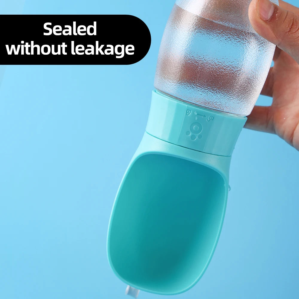 Portable Water Bottle